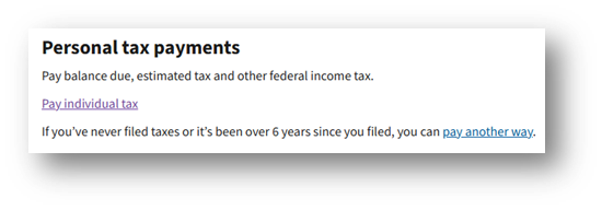 MAKE A PAYMENT IRS visual data 5